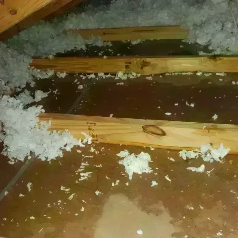 Attic Water Damage in Ord, NE